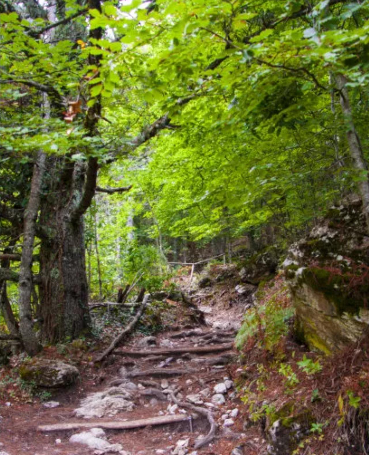 弯崎岖蜿蜒山间路