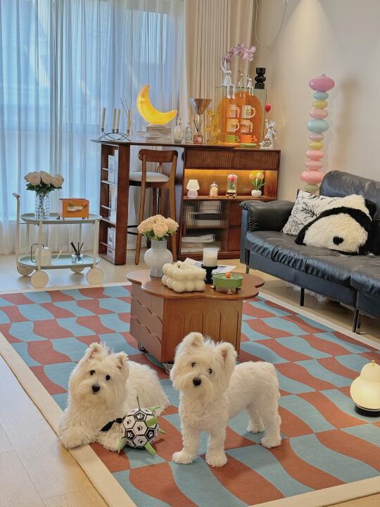 28岁 靠自己住进了Dream house 🏠