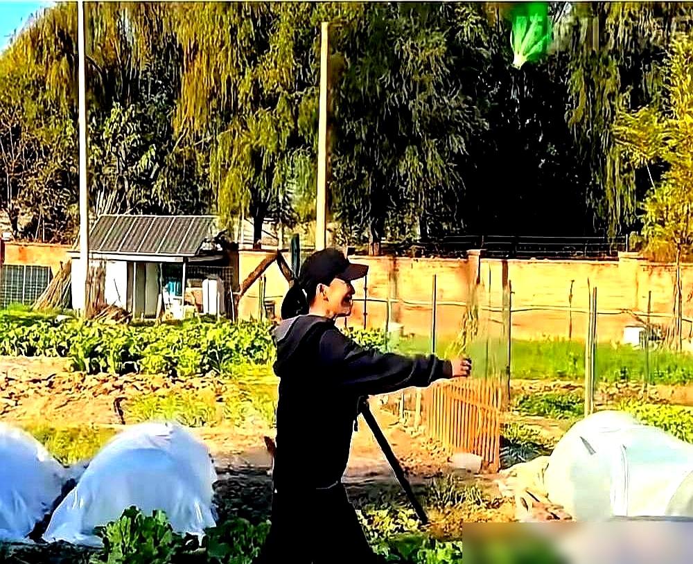 八千万豪宅！梅婷竟和公公下泥地！八千万别墅，一家十口人。你猜他们吃啥？公婆