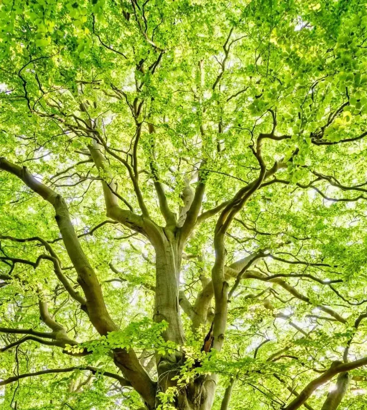 孙子兵法：做人，忍耐是人最强的能力。这并非一句空话，它蕴含着深刻的人生哲