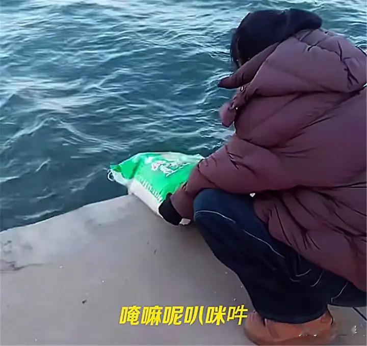 老人往海里放生大米？官方回应不属污染物，背后真相更该警惕！最近辽宁葫芦岛的