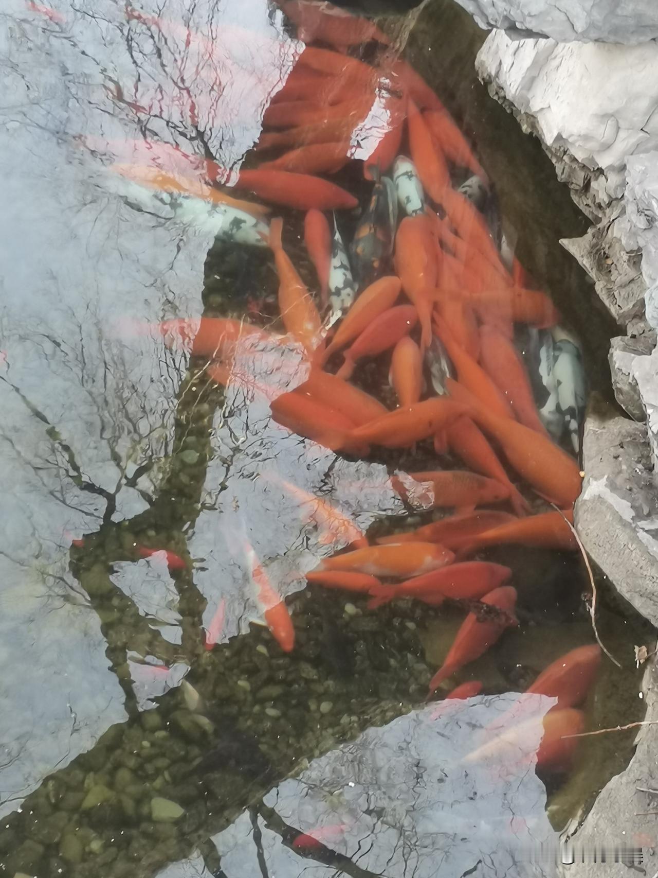 这姑娘都40多岁了还不结婚，真是愁死人了！我同事的女儿84年的，今年都41岁了