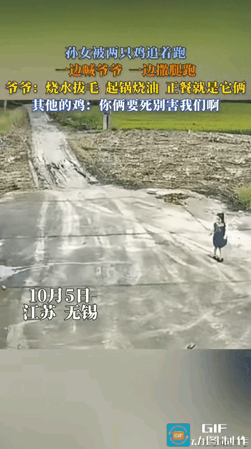 笑不活了！江苏无锡，国庆假期小孙女去爷爷家串门。小女孩独自在院子玩，爷爷在鸡舍忙