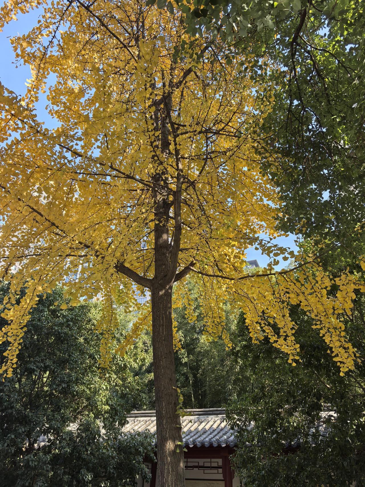 这就是真实的人性同事直肠癌去世了，年仅42岁！她的父母、老公、孩子哭得稀里哗啦