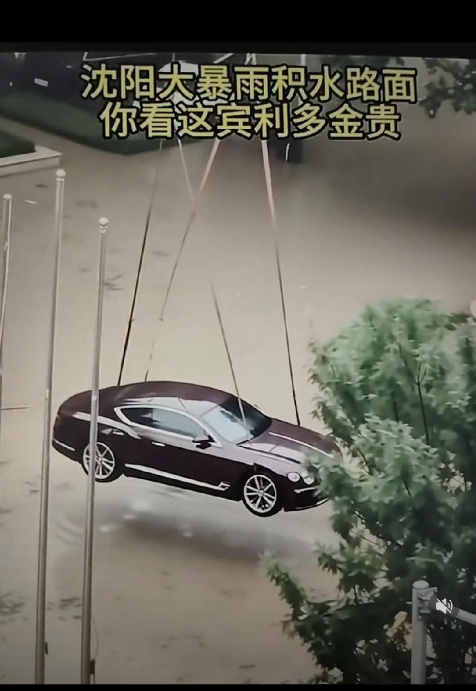 沈阳这位宾利车主的操作，事后再看真的让人恍然大悟。台风到来之前，他花钱叫来吊车，