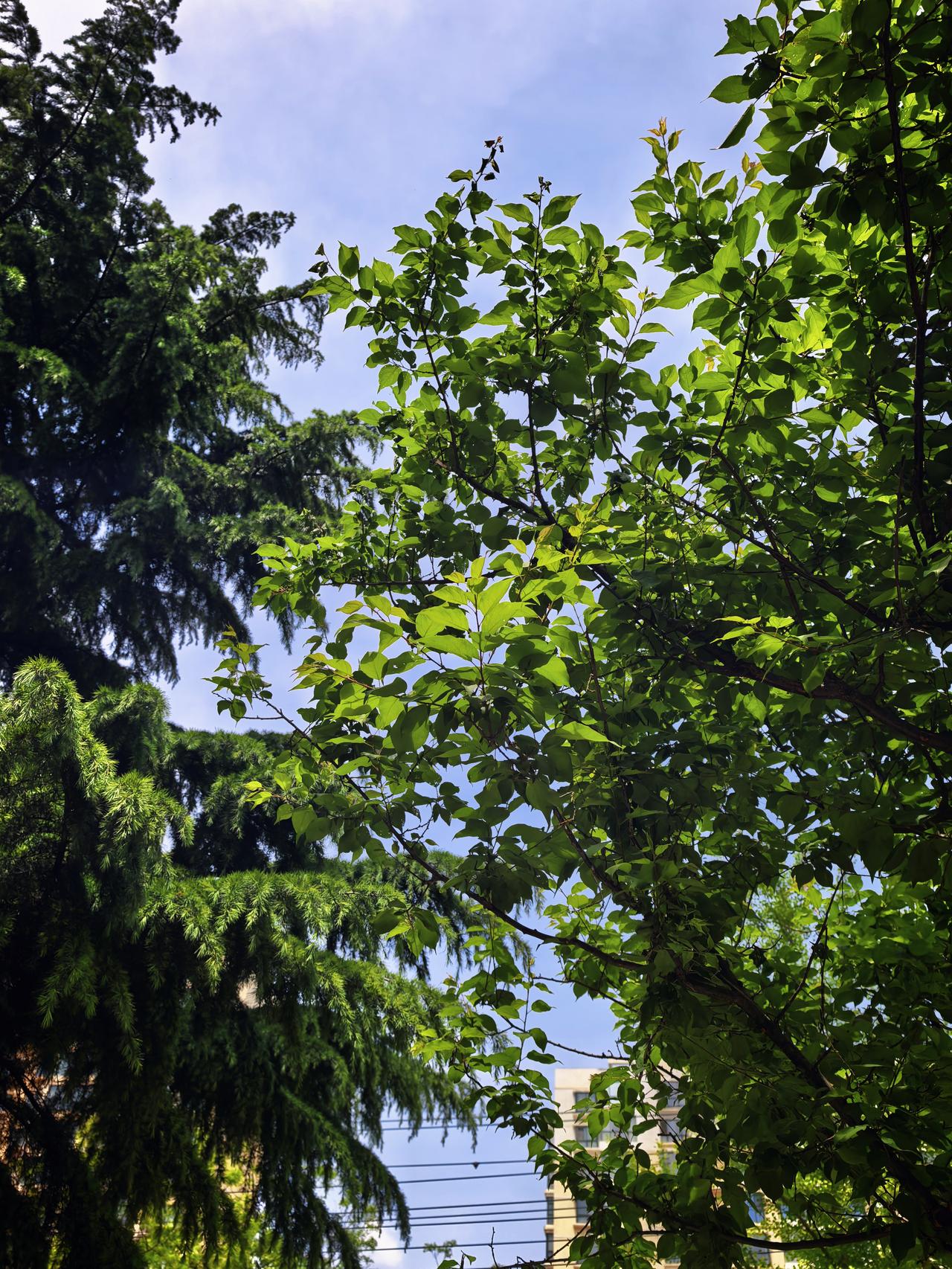 买了红利基金5年，终于明白：攒股收息的本质，不是赚差价！刚开始买红利基金，