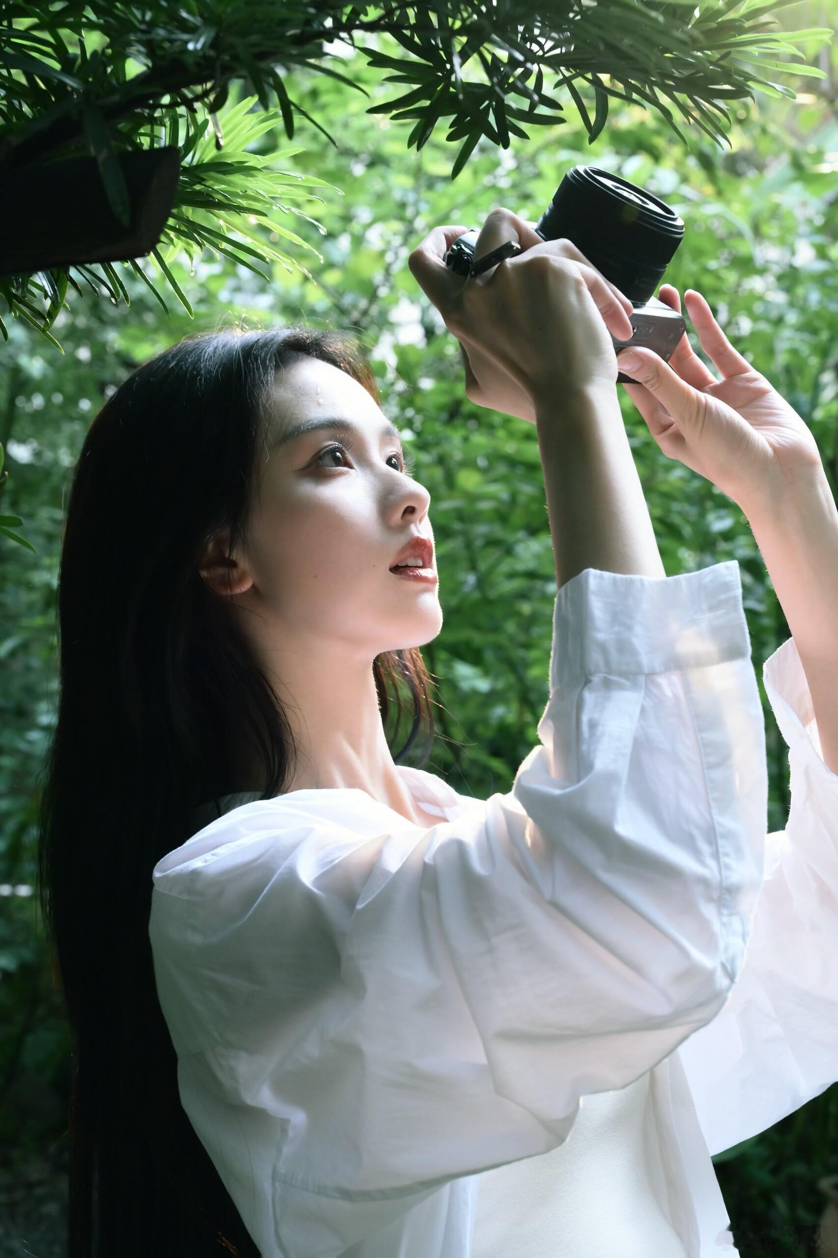你比春风更美丽​​​