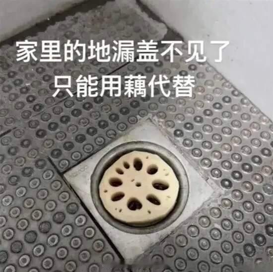 网友投稿图片选集