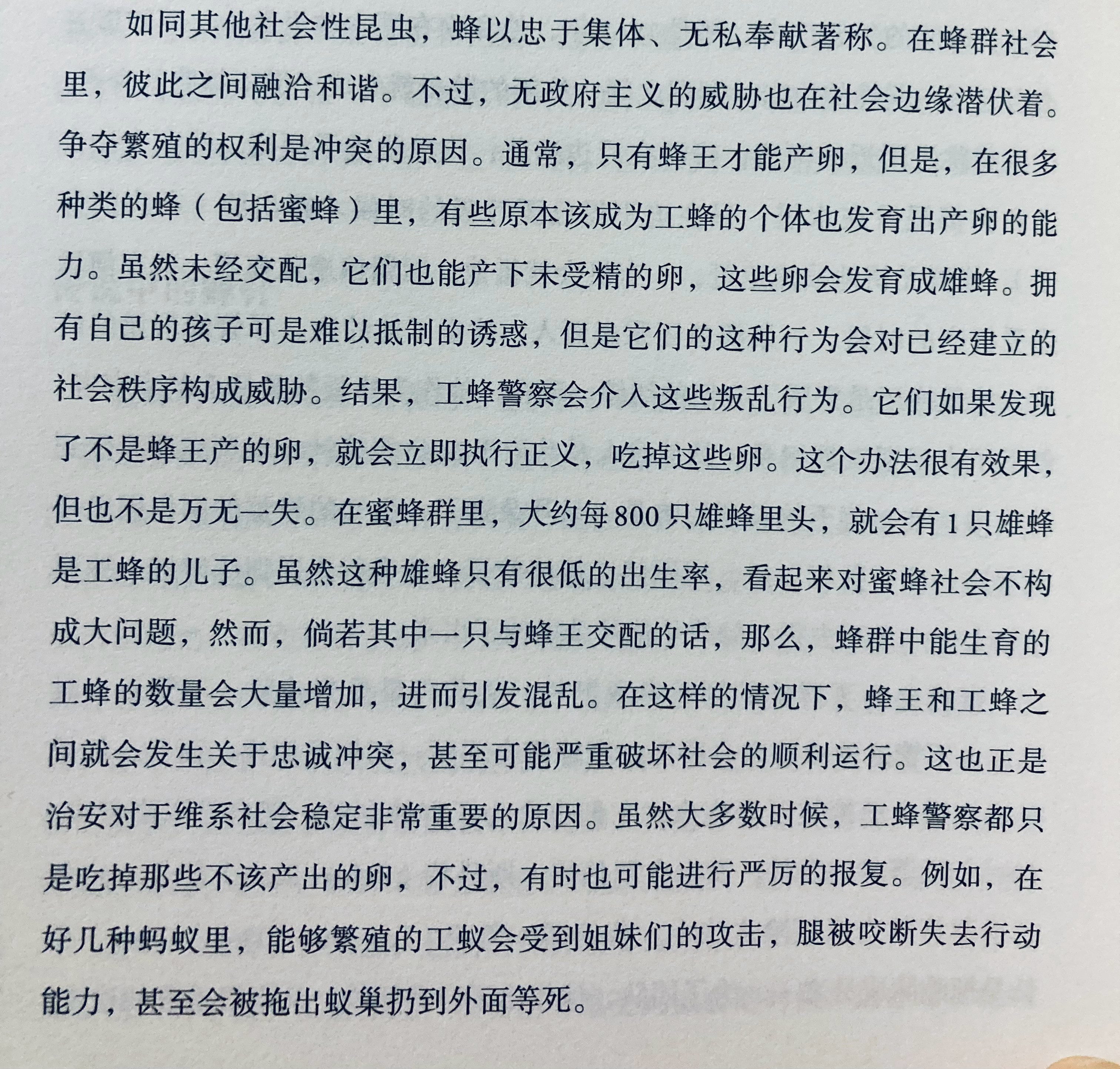 集体主义至上的社会真是可怕，即便只是一群蚂蚁​​​