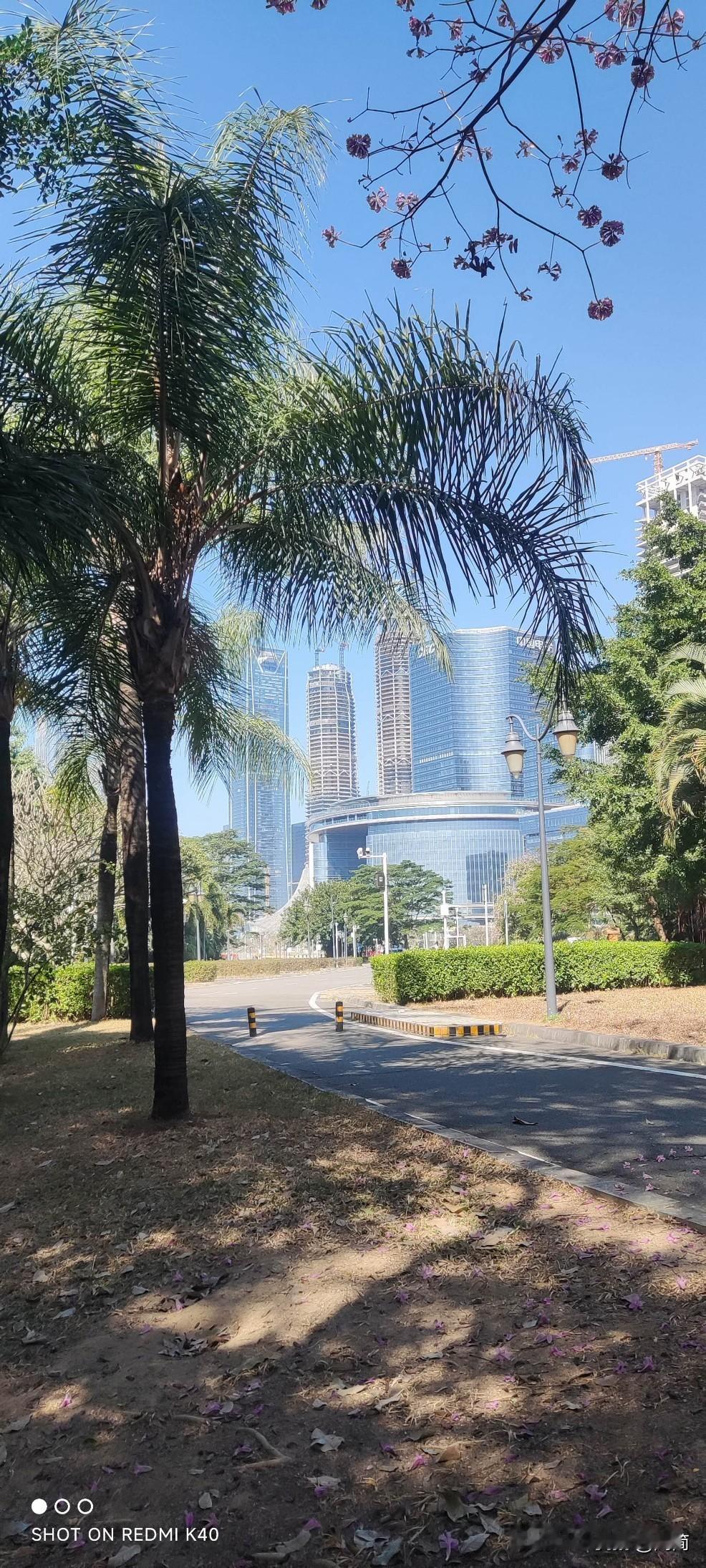 叔叔把楼房买在儿子楼下现在好多老年人上了年纪，为了有人照应，把自己的住房卖掉，