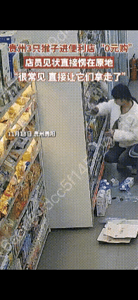 贵州猴子组团“零元购”，居然只认准达利园小面包！这波野生代言比明星广告还管用，真