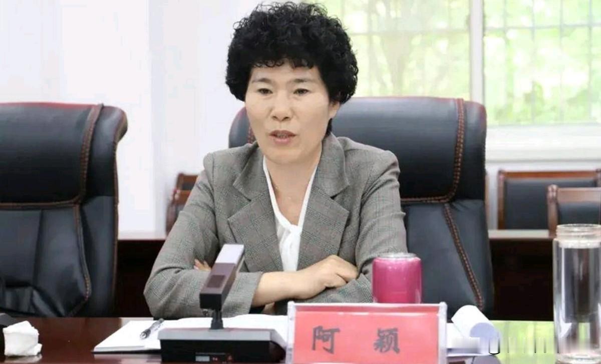 南阳又有人落马了！在刘朝瑞被查落马之后，原南阳市副市长阿颖被立案调查。阿颖早在今