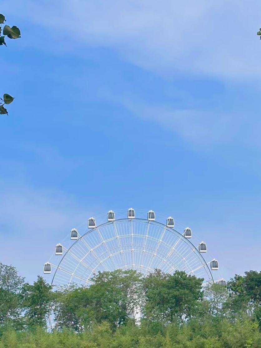 失业才懂：存钱是普通人唯一的退路揭开外在的繁花似锦，内在却是“压力山大”那