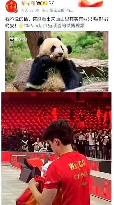 莎莎这回真被藏住了！图中你有看到莎莎吗？只看到头哥一个人，哪里有