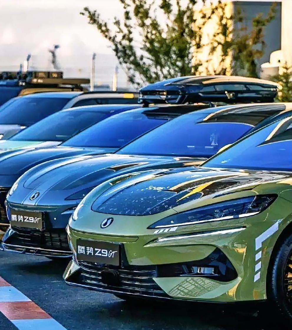 有没有发现，越买比亚迪越觉得怪。因为用久了你就明白，外面干啥都要钱，到比亚迪这儿