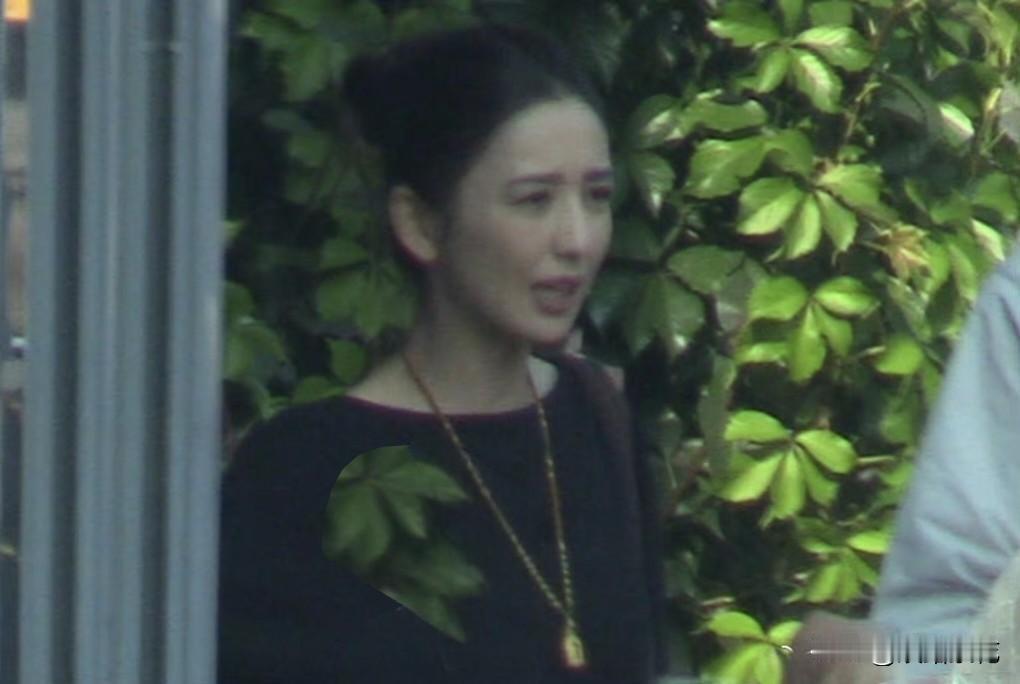 近日，有娱记拍到佟丽娅带着母亲现身工作室，陈思诚的父亲也罕见一同露面。众人结束工