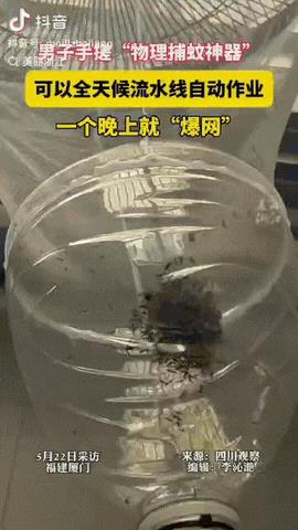 大哥肯定农村长大！5月22日，福建厦门，一男子被蚊子叮得受不了，绝望之际，他突然