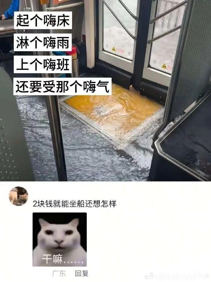 6336我的心态