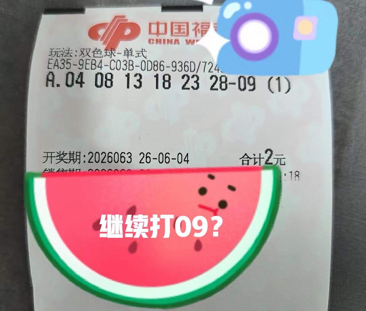上一期09早产了，这一期继续打09，看看会不会有重复号出现，反正也就2块钱，不中