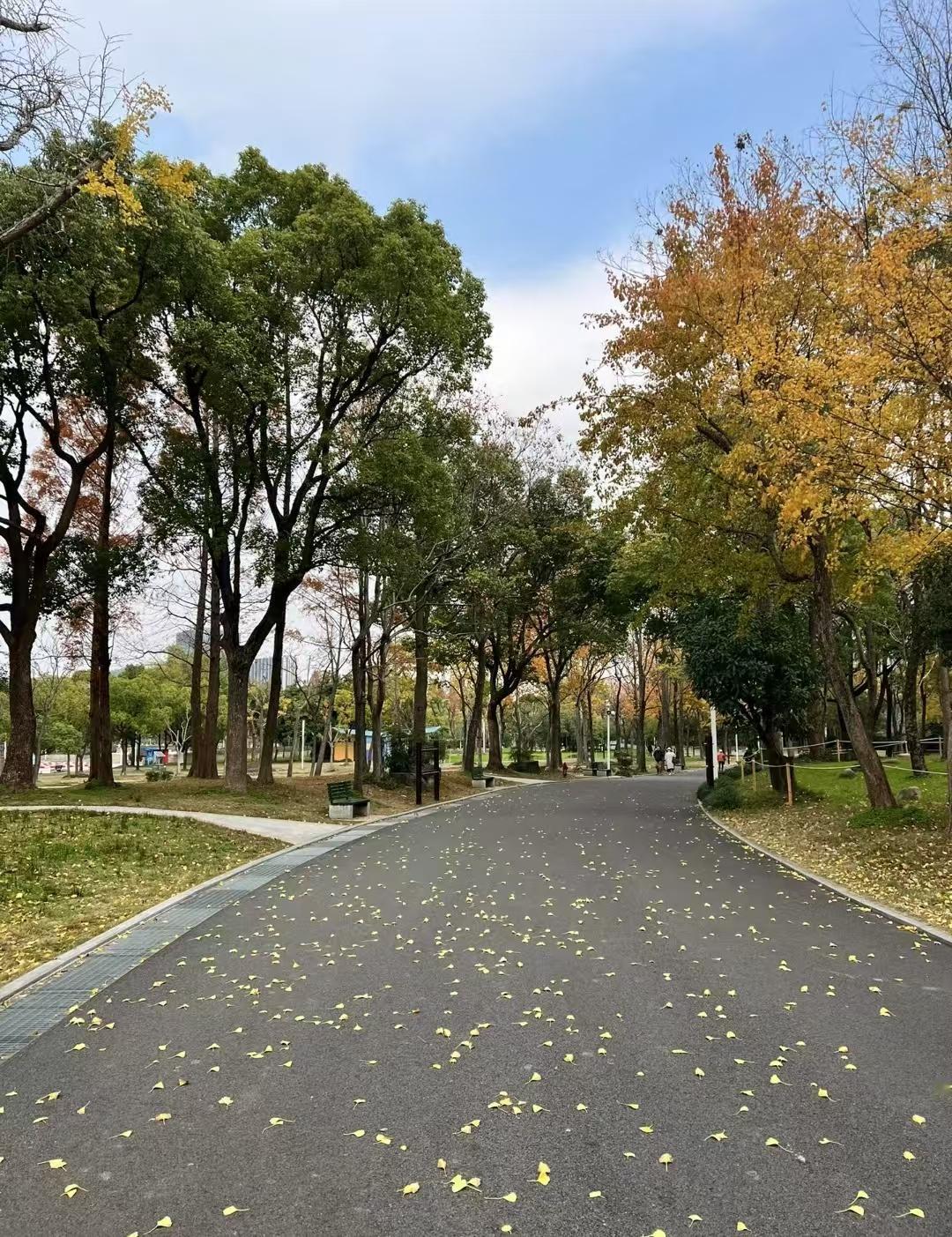 大彻大悟的一段话：可怜的父母还傻傻的不知道，其实当孩子长大了，这个家就已经散了，