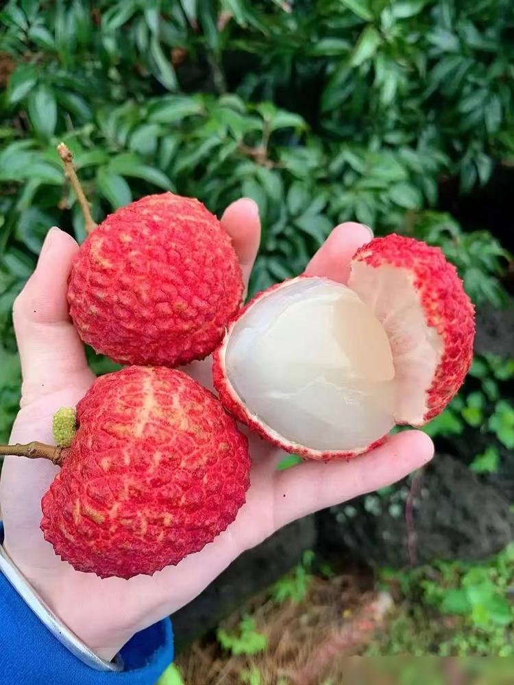 晚年幸福就靠这三样。​1.腿脚好。​别总窝在沙发里。​能买菜能遛弯，