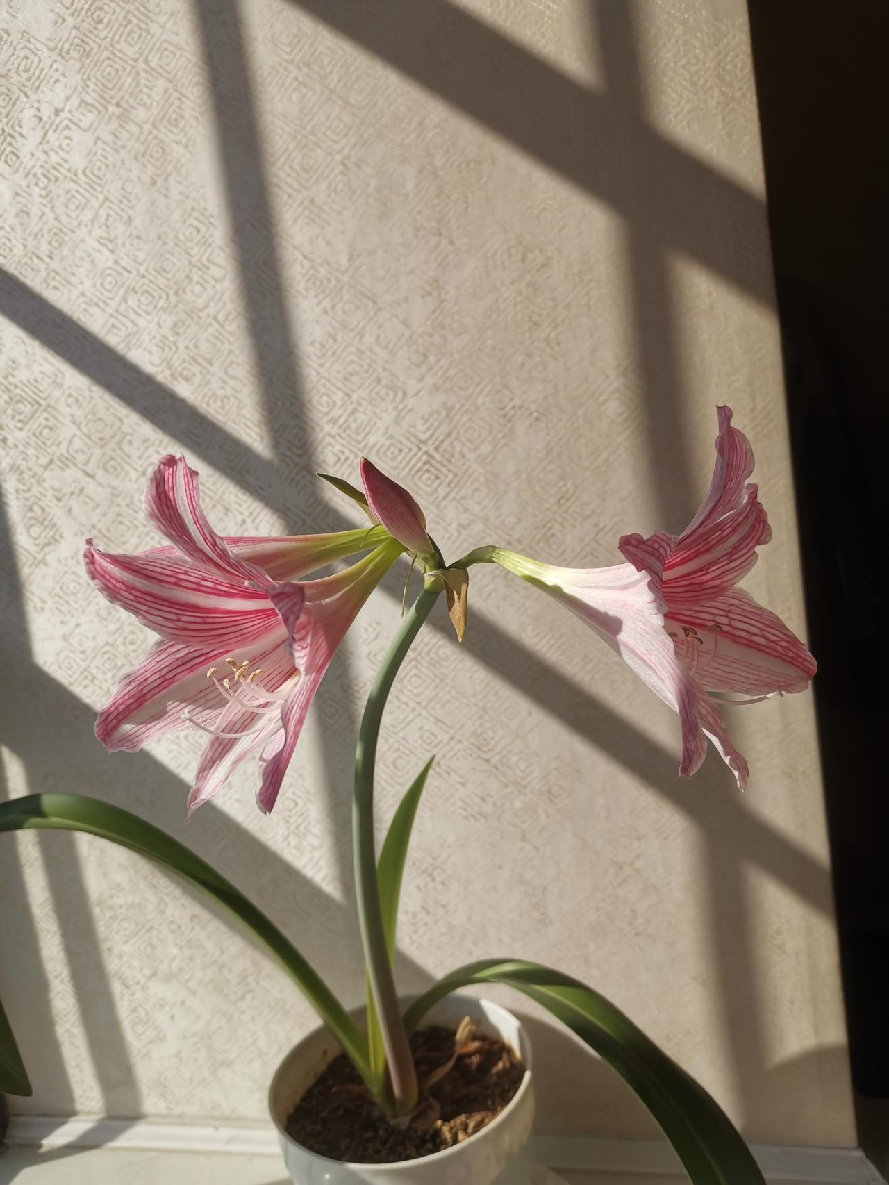 为什么下一代有心理问题的比我们这一代多？昨天同学聚会，诉苦畅聊到最后，大家都