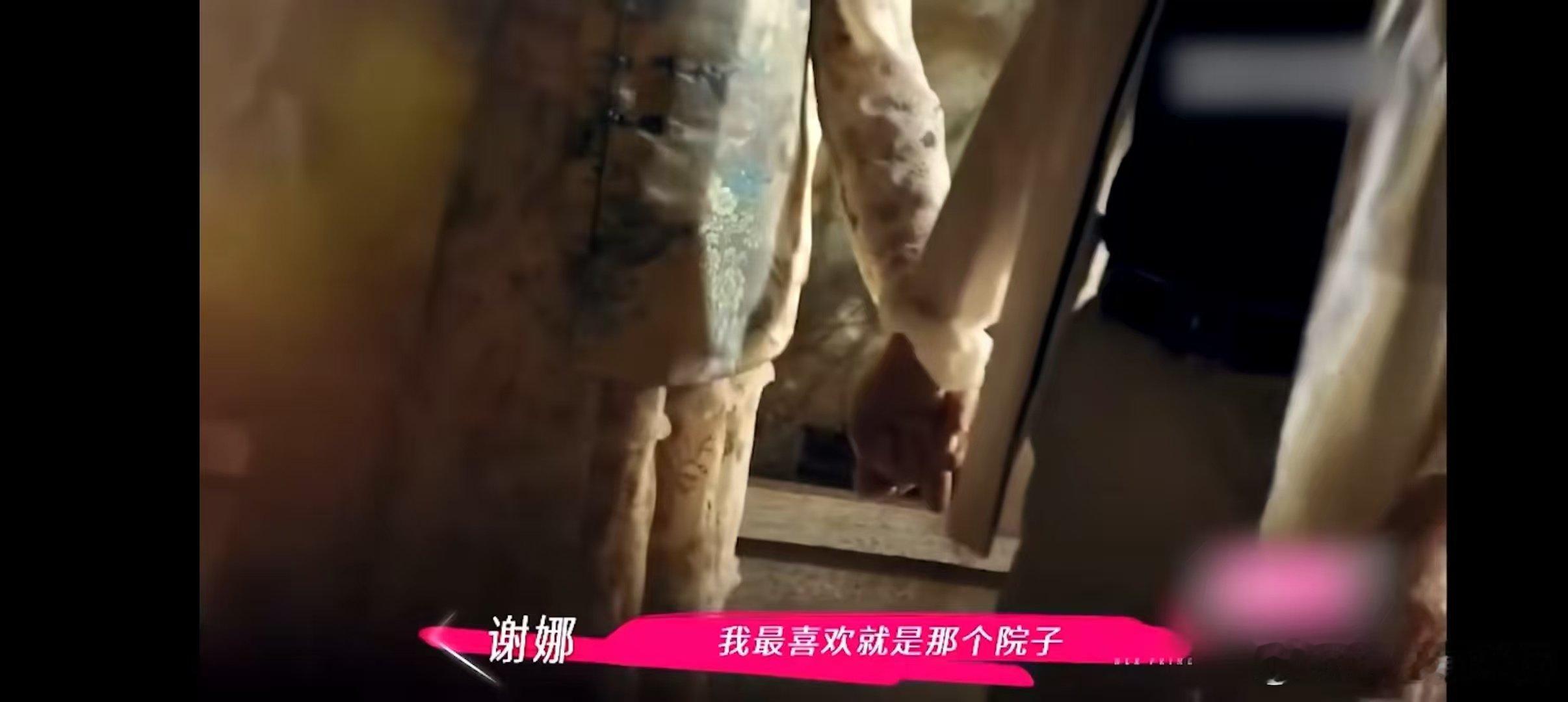 李维嘉说谢娜爸妈就是父母爱情姐姐当家谁没被谢娜爸妈甜到？院子里的花开得旺，他