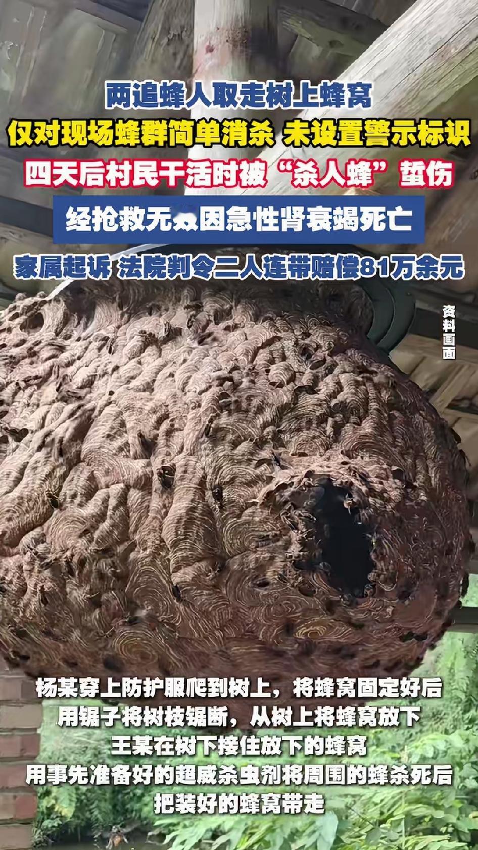 取蜂窝没处理干净，村民4天后被蜇死，两名取蜂人被判赔81万。杨某和王某，被村民请