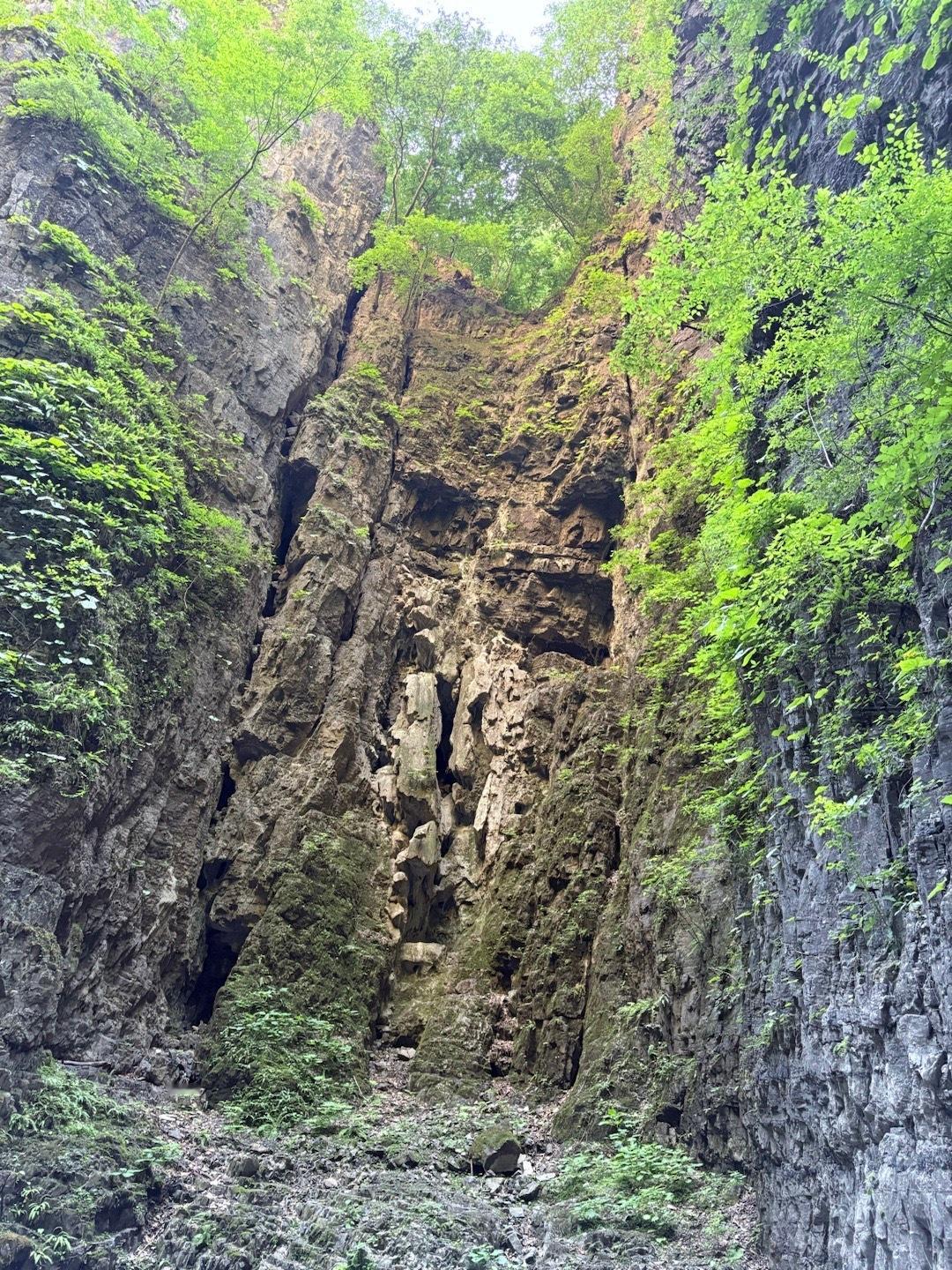 谁懂！夏天真的很适合去游山玩水​​​