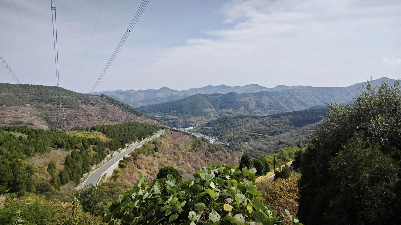 入冬管住嘴5吃5不吃五吃是：1，地瓜2，板栗3，橘子4，羊肉5，黑木