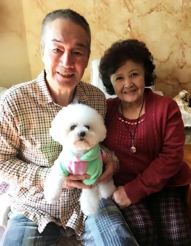 一位曾红遍荧屏的老戏骨，晚年却落得“冷清送终”的凄凉结局。他养育三个孩子，最终葬