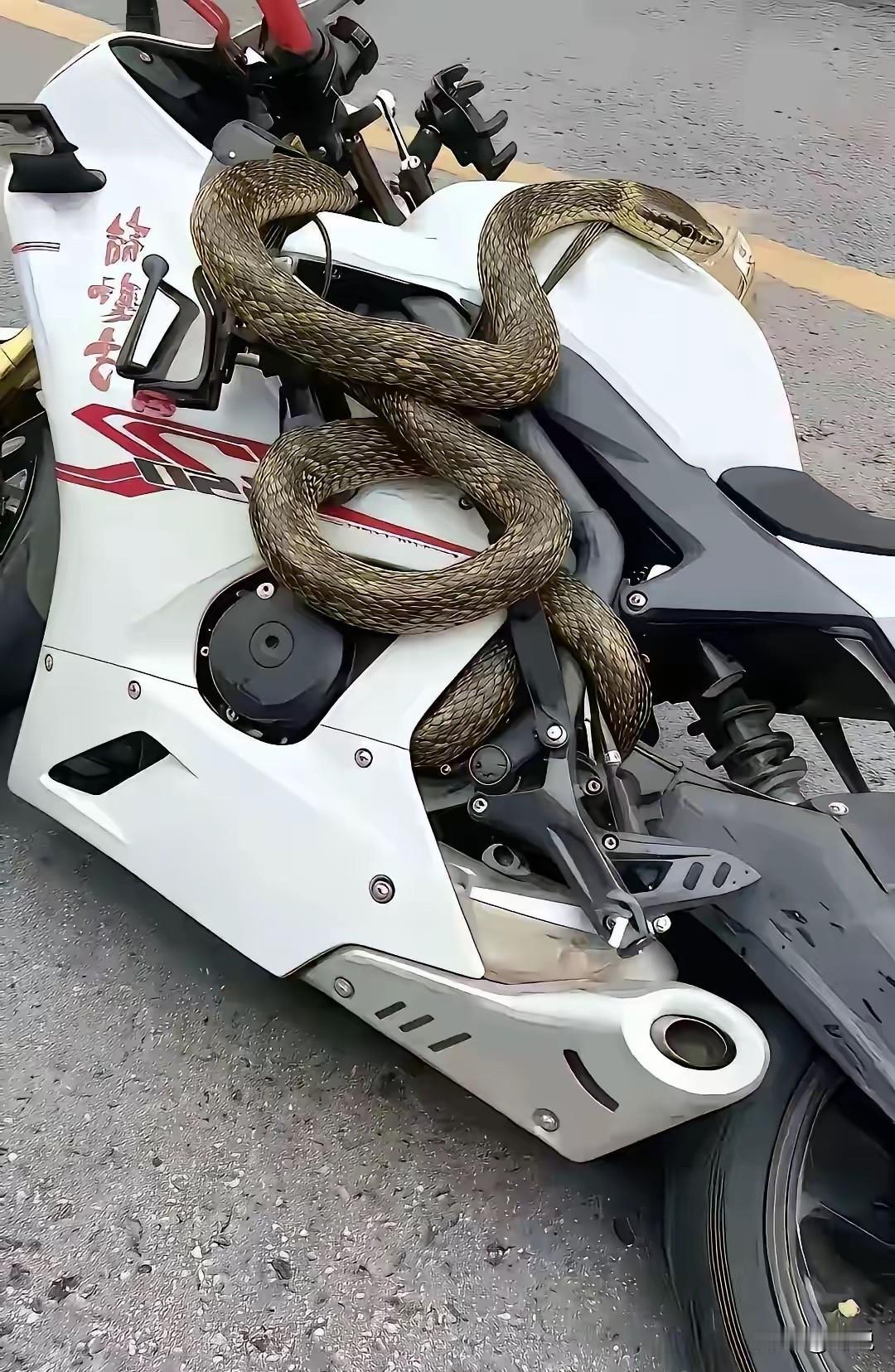 这车子还能要吗？