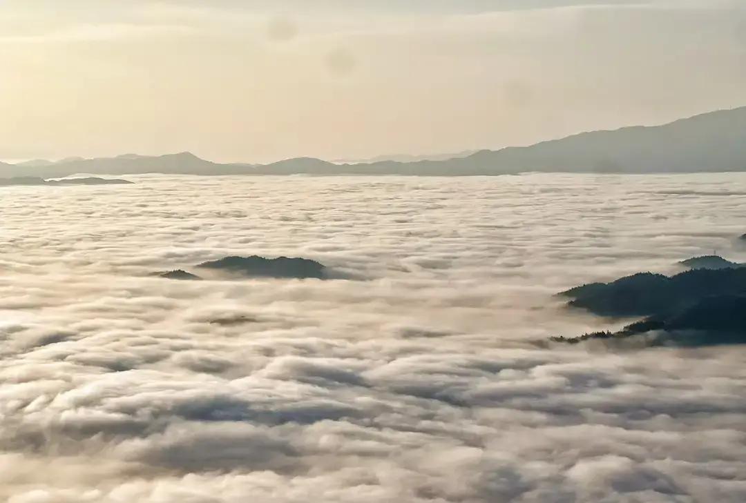 表弟突然发微信说媳妇签证批了，3月16号落地，差两万块接人。去年借他的三千还