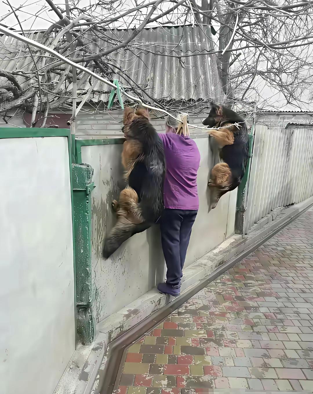 打一句歇后语，看看那句最形象！