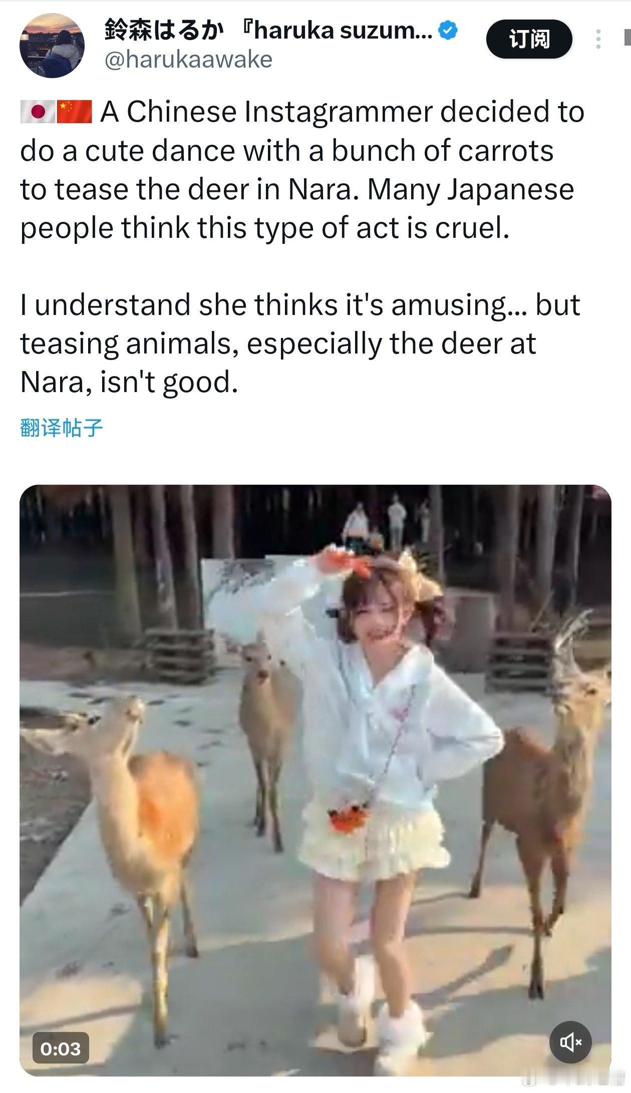 日本人的伪善中国人在中国的动物园拍抖音结果被日本人发到网上说这是在虐待奈良的鹿日