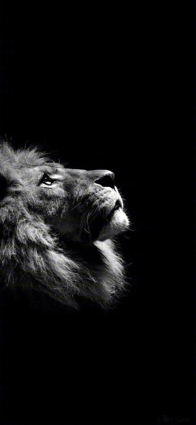 人生想要的到底是什么？其实这个问题并没有那么复杂，答案也极其简单，要的就是“感受