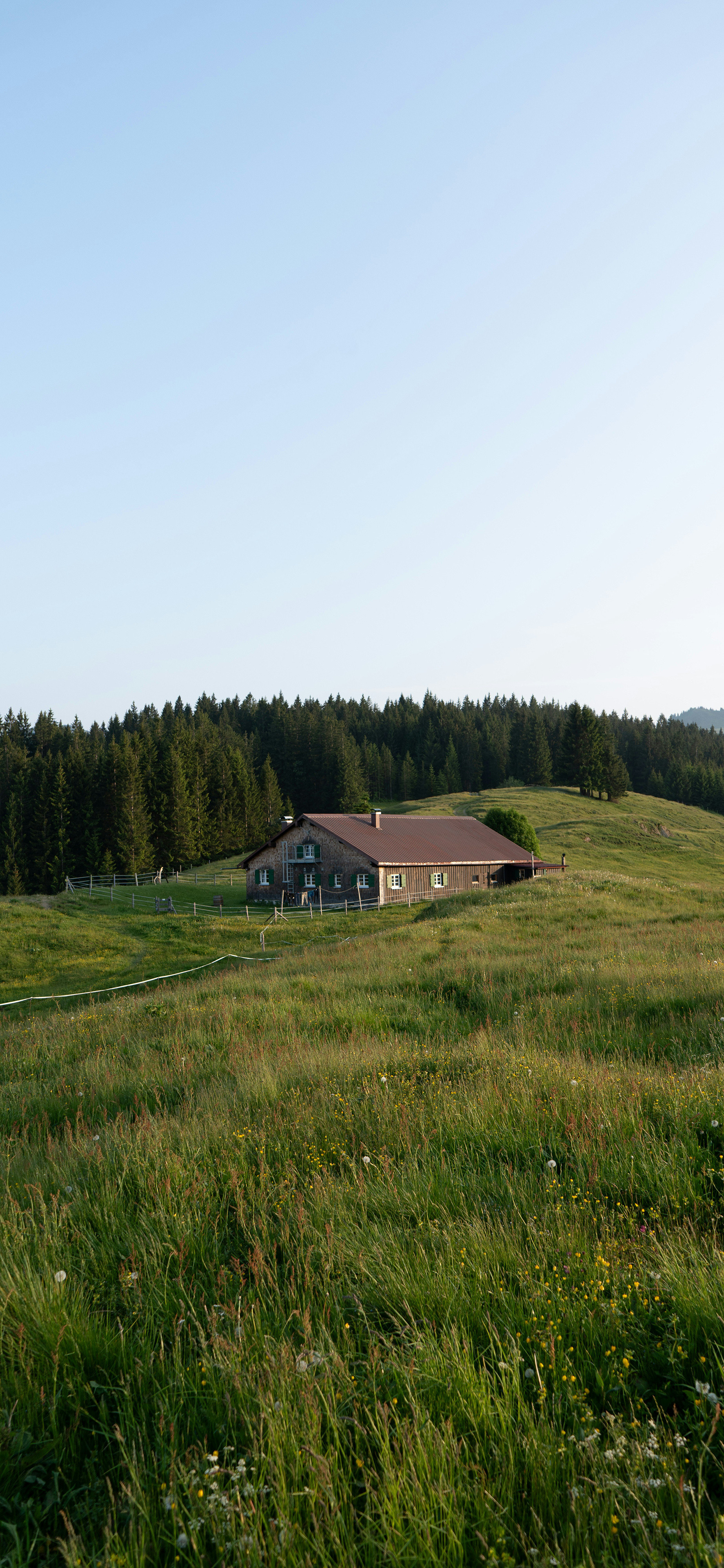 小伙伴们早上好！今天又是周五了，开心吗？风景壁纸​​​