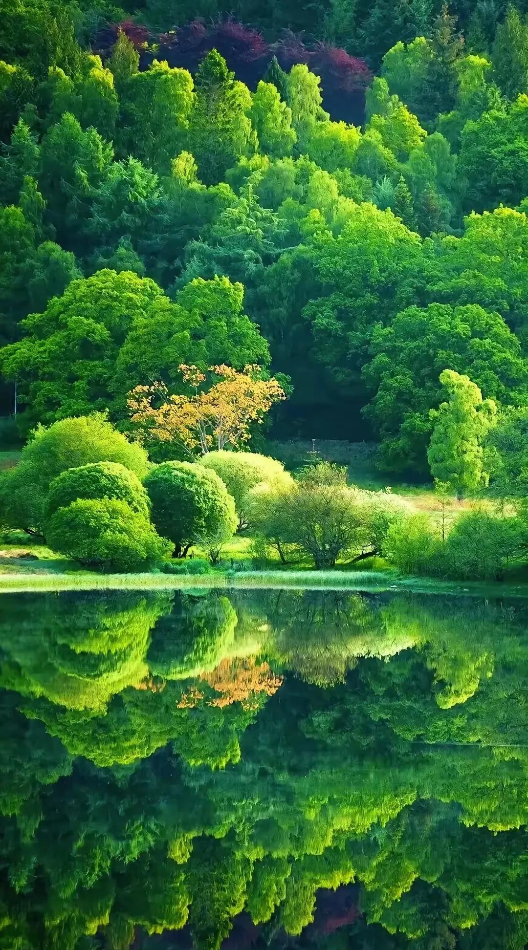 王志文：“闯荡社会几年你就会明白，人没有背景，没有机会，没有贵人，老实说，很难