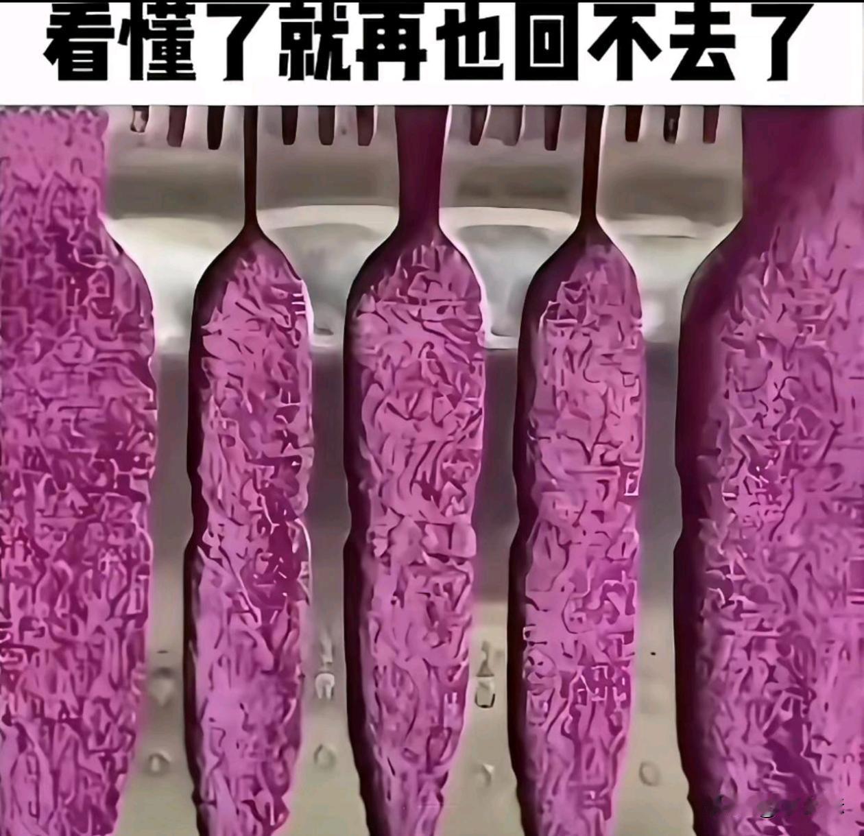 看懂了就再也回不去了