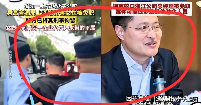 赵海峰被刑拘！但我告诉你，真正让人沸腾的，根本不是抓了一个高管。赵海峰强