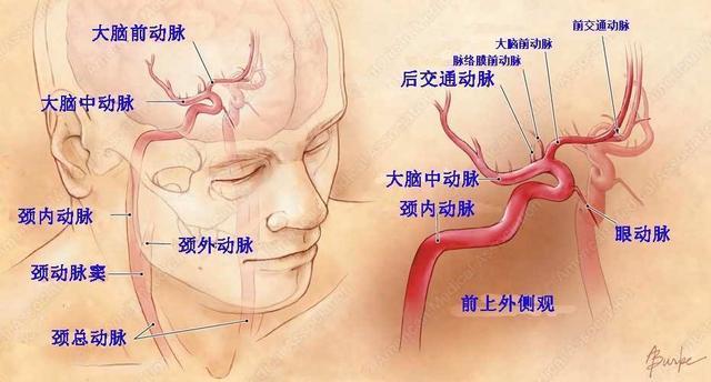 看不清东西? 是脖子上的血管生病了!