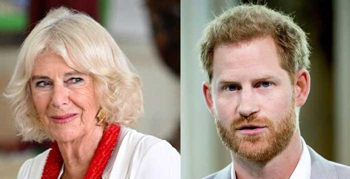 卡米拉王后官宣新计划撞期哈里返英，王室大戏再升级！英国王室的大戏永远不缺新剧情
