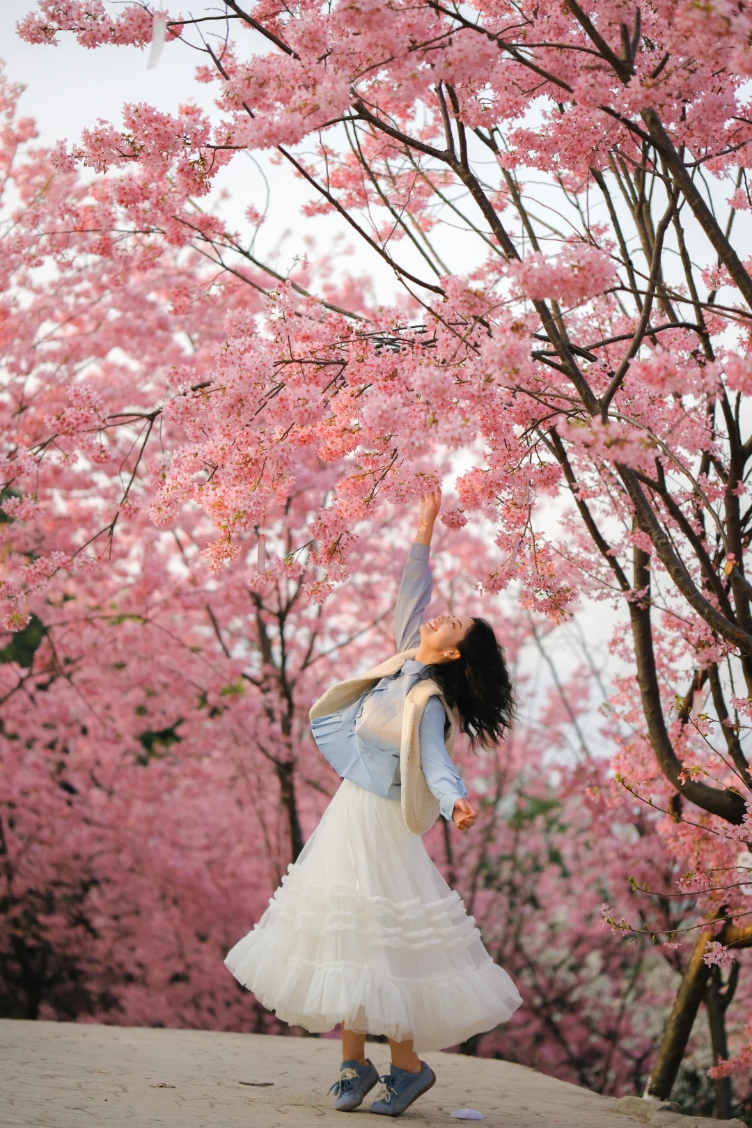 重庆的春日含金量在这一刻拉满！