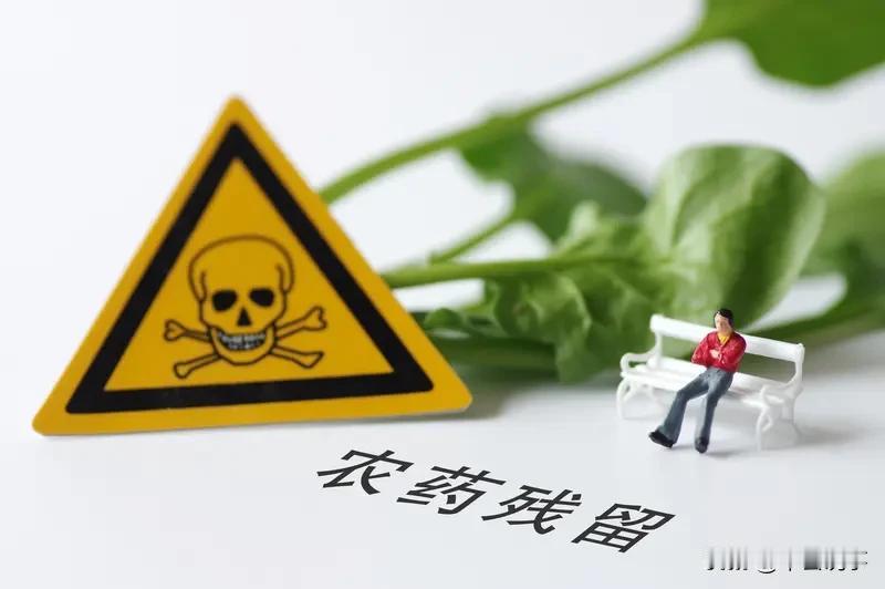 防止蔬菜使用禁用农药，得从多方面下手。种植户得提升意识，相关部门要多组织培训，