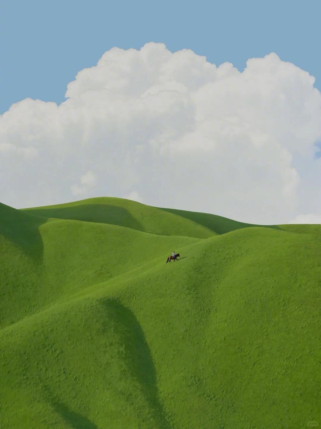 总要来一趟伊犁吧看雪山守着森林，草地托着花海风是自由的，云是慵懒的万物都在