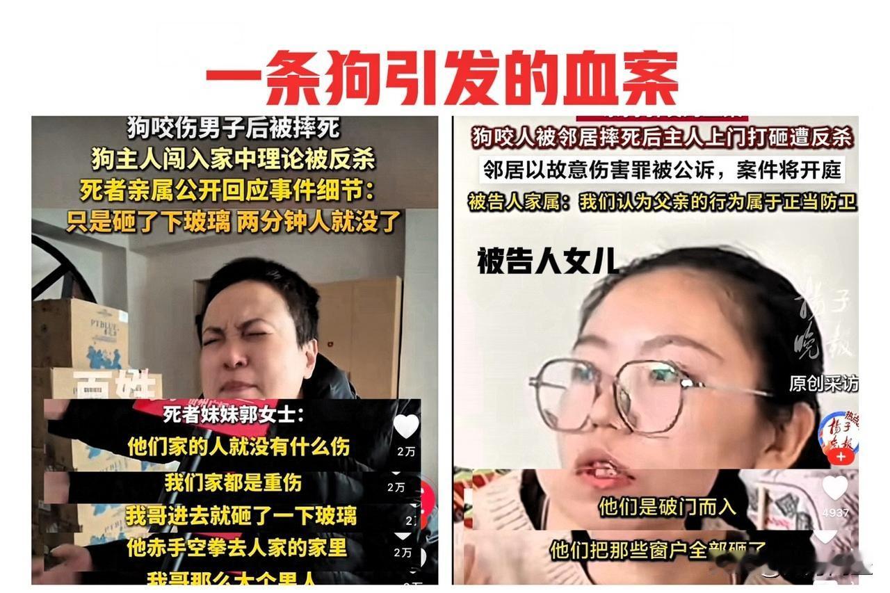 一条狗引发的血案。一起狗咬人的意外事件竟然造成了如此悲惨的结局。事件结果：狗与