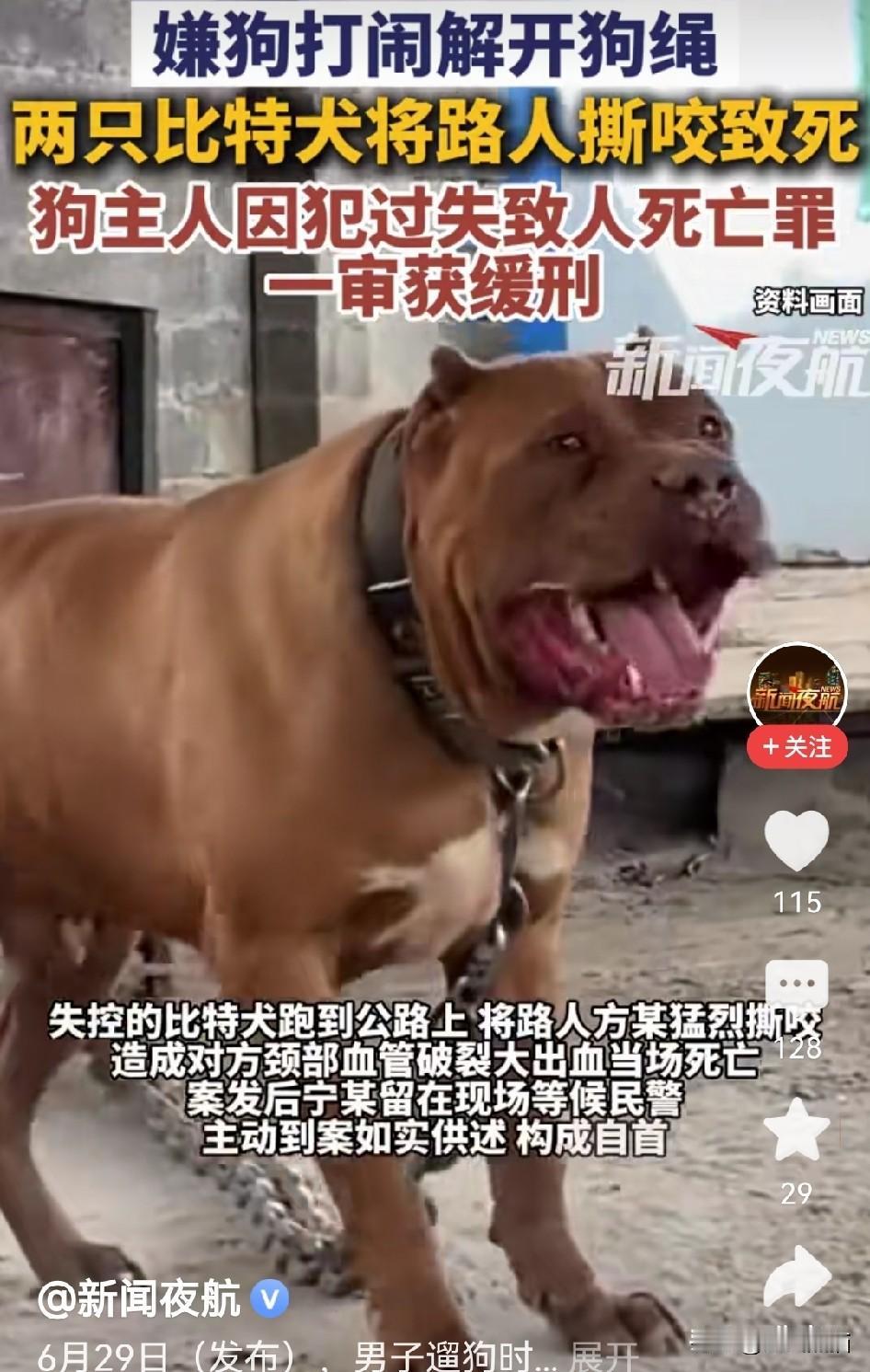 重庆比特犬案，大伙看完都觉得出门心里发慌！重庆这个比特犬伤人致死的案子判完，很