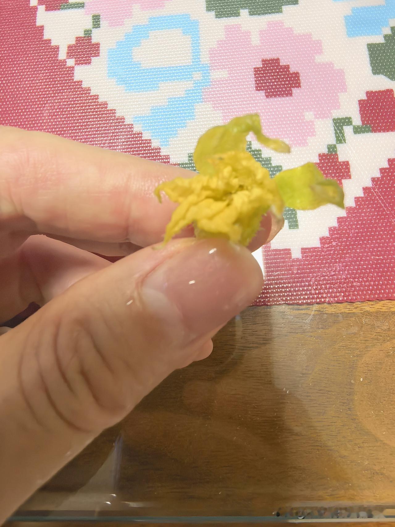买了一周的秋黄瓜放在冰箱里居然开花了不吃晚饭就会吃很根黄瓜之类的刚才洗黄瓜