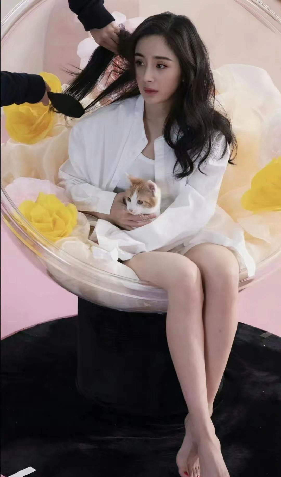 杨幂对自己的脚趾和美甲很自信！这个猫咪真可爱