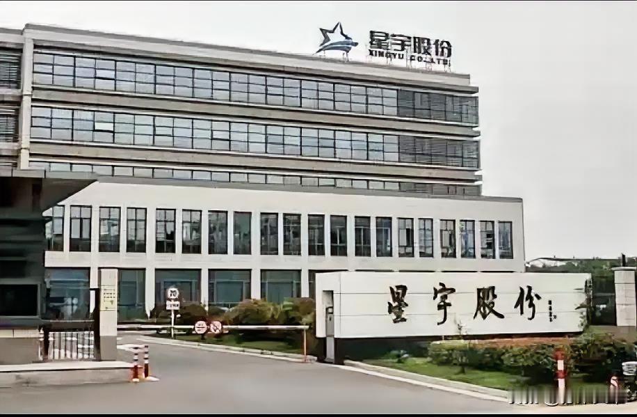 星宇股份被打中了七寸，背后是否有高人指点？众所周知，这家公司害怕的不止是国内舆论
